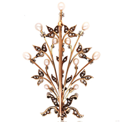 Edwardian 18K Gold Natural Pearl Brooch, GIA
