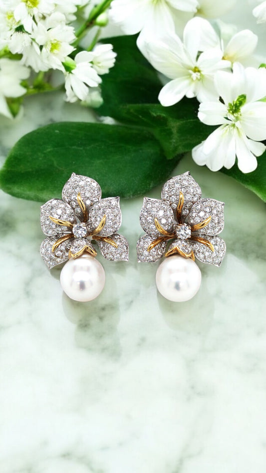 Adler, 18K bi-color Gold Pearl Diamond Earrings