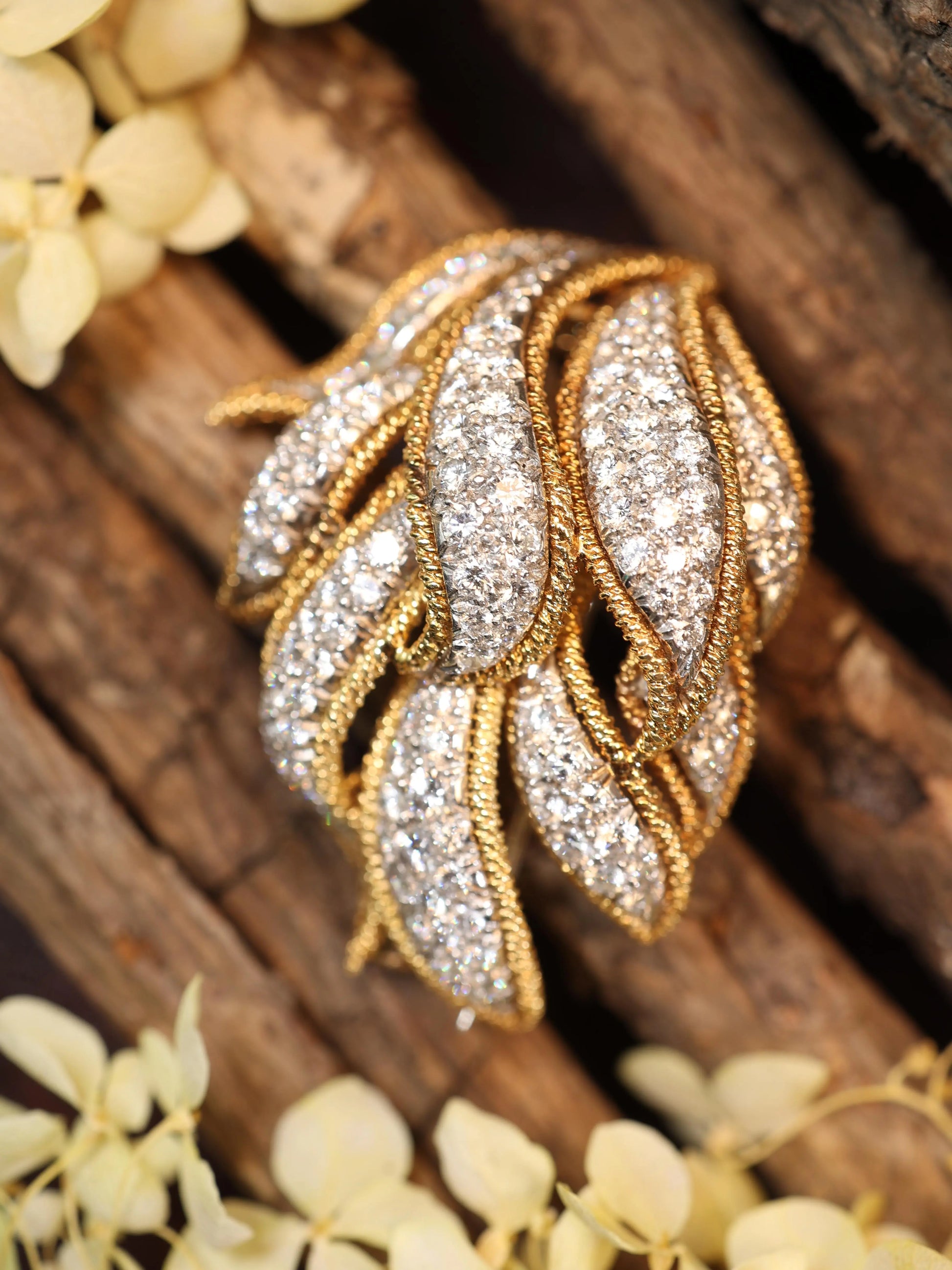 David Webb, 18K Gold Diamond Brooch