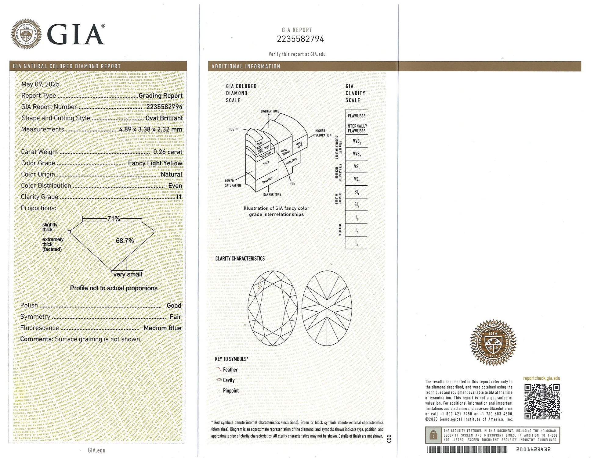 Platinum Yellow Diamond Circle Brooch, GIA Lueur Jewelry