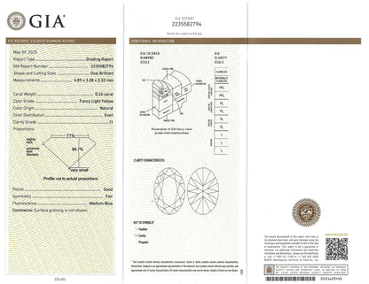 Platinum Yellow Diamond Circle Brooch, GIA Lueur Jewelry