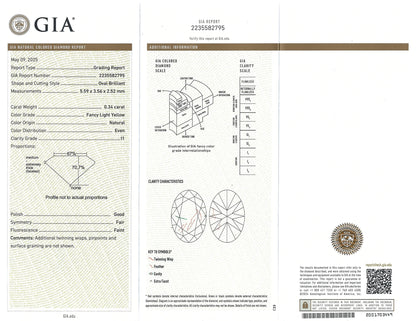 Platinum Yellow Diamond Circle Brooch, GIA Lueur Jewelry
