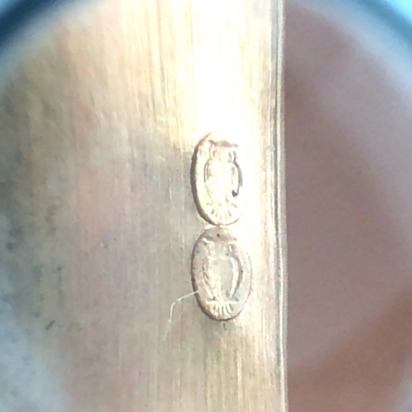 Gold Box with Porcelain Painting Lueur Jewelry