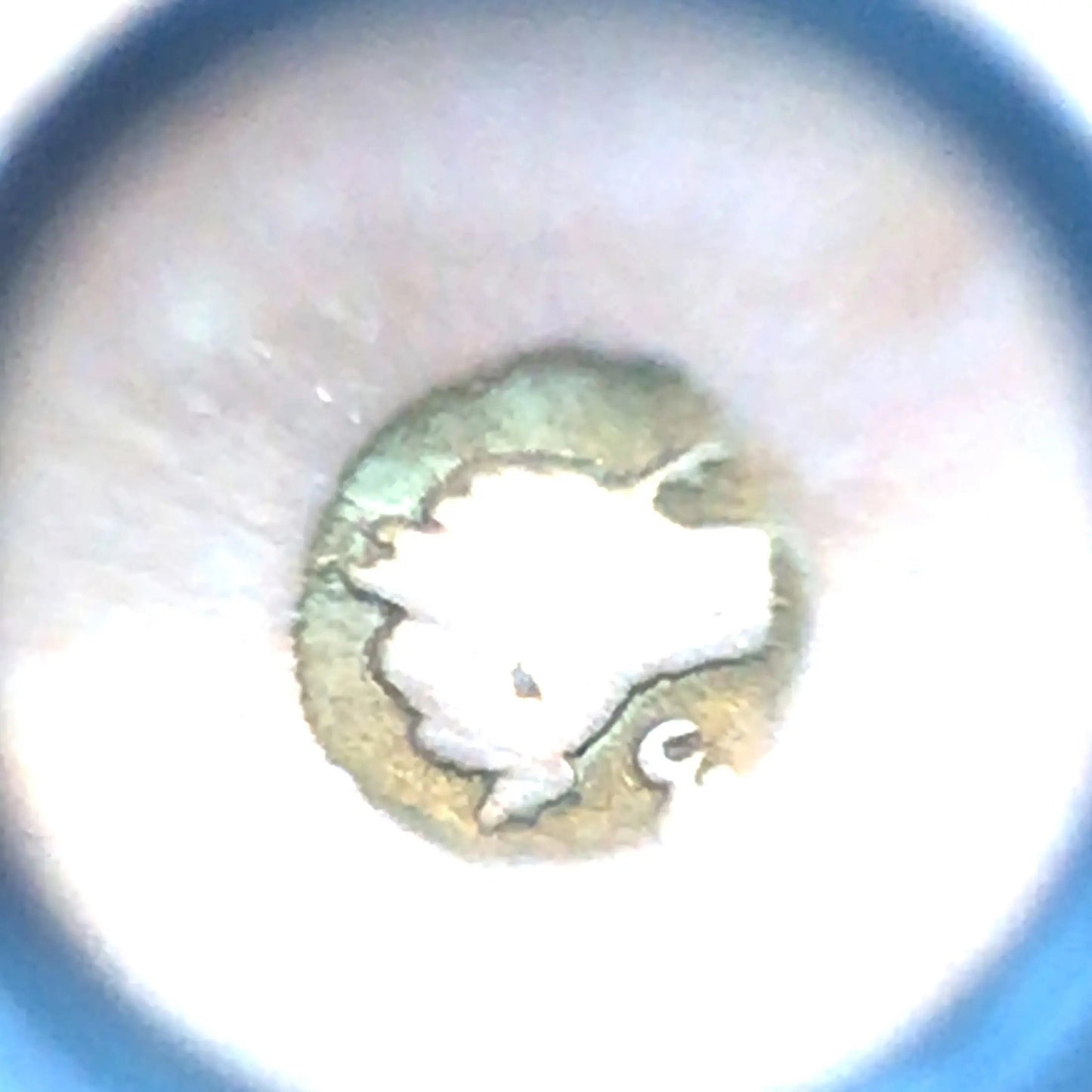 Rould Gold Box with Porcelain Painting Lueur Jewelry