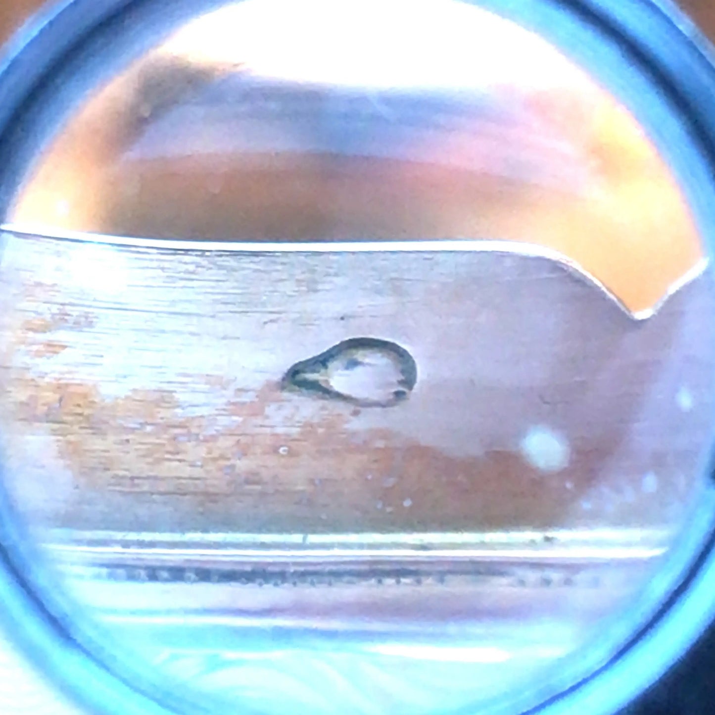 Oval Gold Box with Porcelain Painting Lueur Jewelry