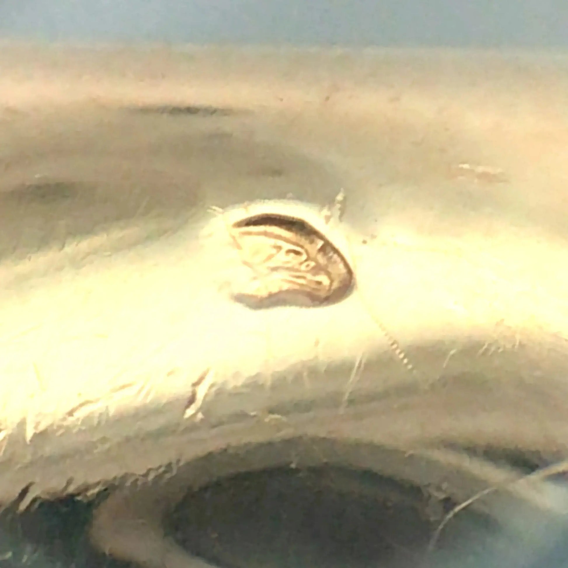 Cartier, 18K Gold 'Nouvelle Vague' Perruque Ring Cartier