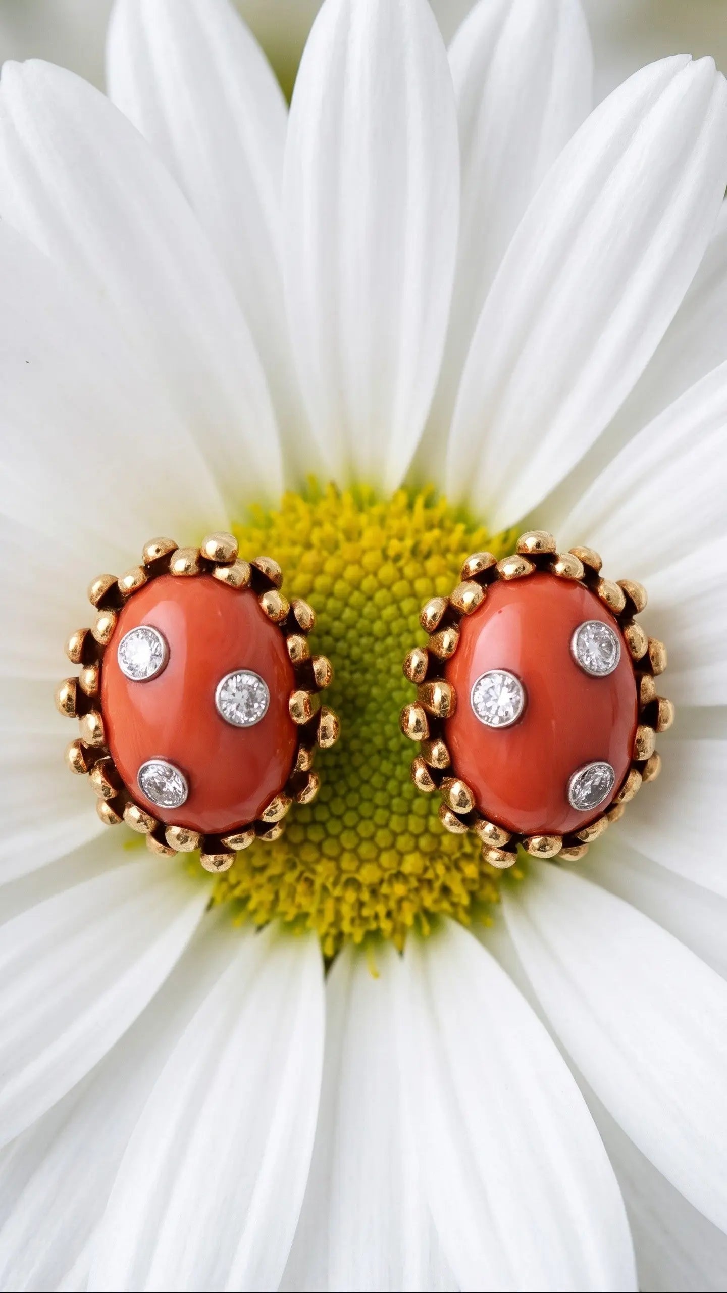 David Webb, 18K Gold Coral Diamond Earrings David Webb