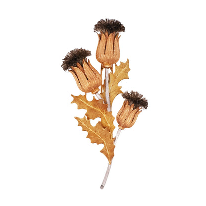 Buccellati, 18K Gold Thistle Brooch