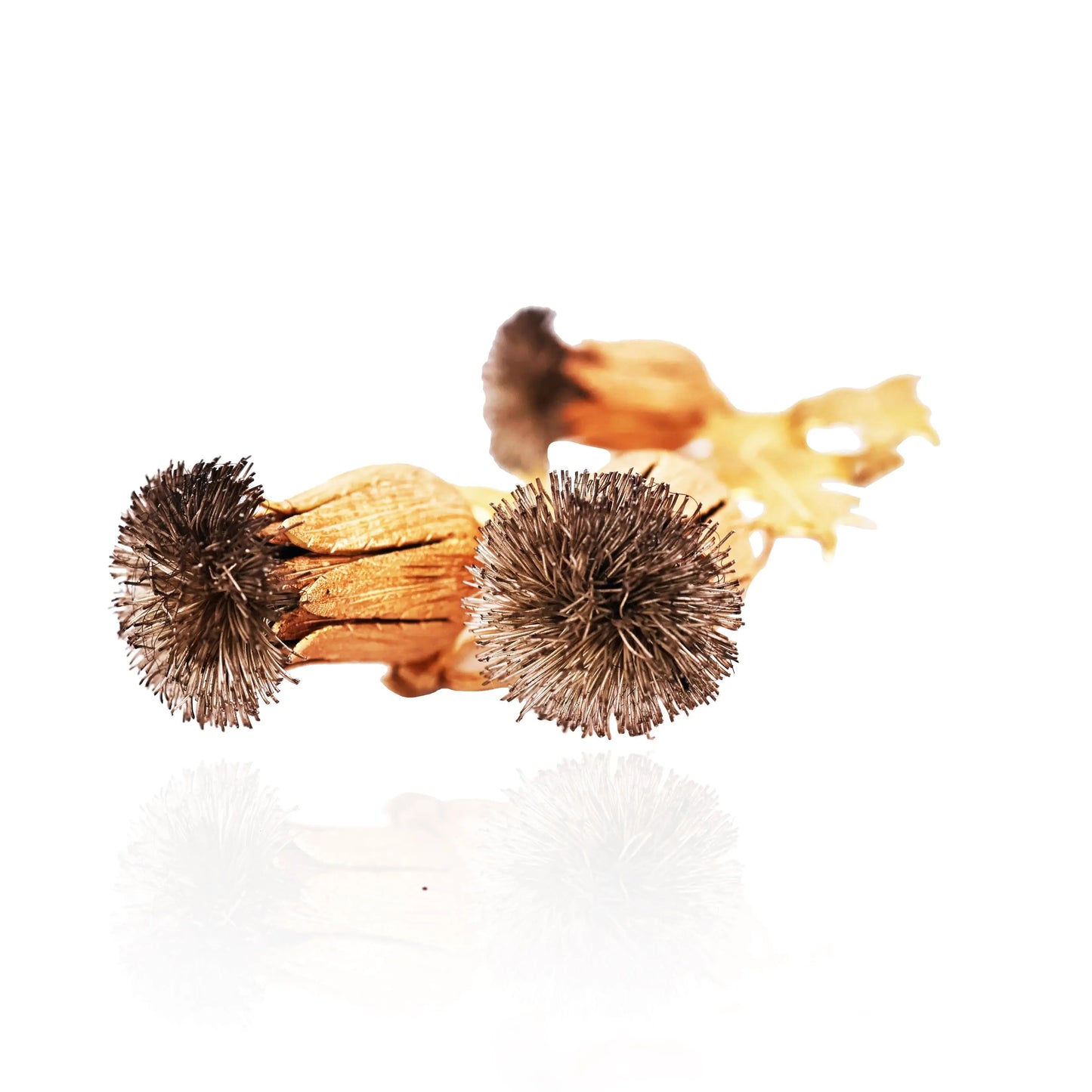 Buccellati, 18K Gold Thistle Brooch