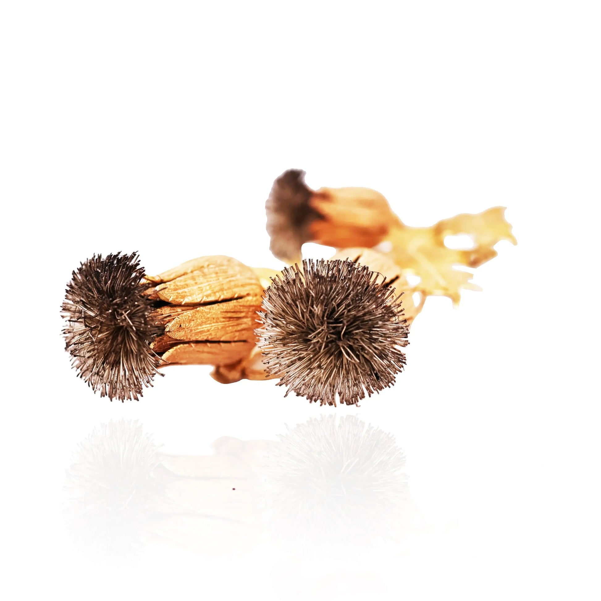 Buccellati, 18K Gold Thistle Brooch