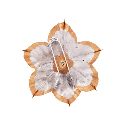 Buccellati, 18K Bi-color Gold Diamond Brooch