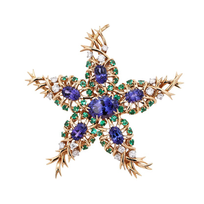 Tiffany Schlumberger, 18K Gold Gemstone Seastar Brooch