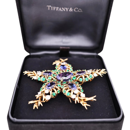 Tiffany Schlumberger, 18K Gold Gemstone Seastar Brooch