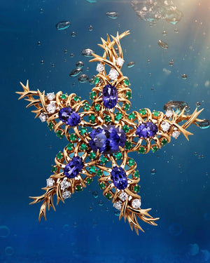 Tiffany Schlumberger, 18K Gold Gemstone Seastar Brooch