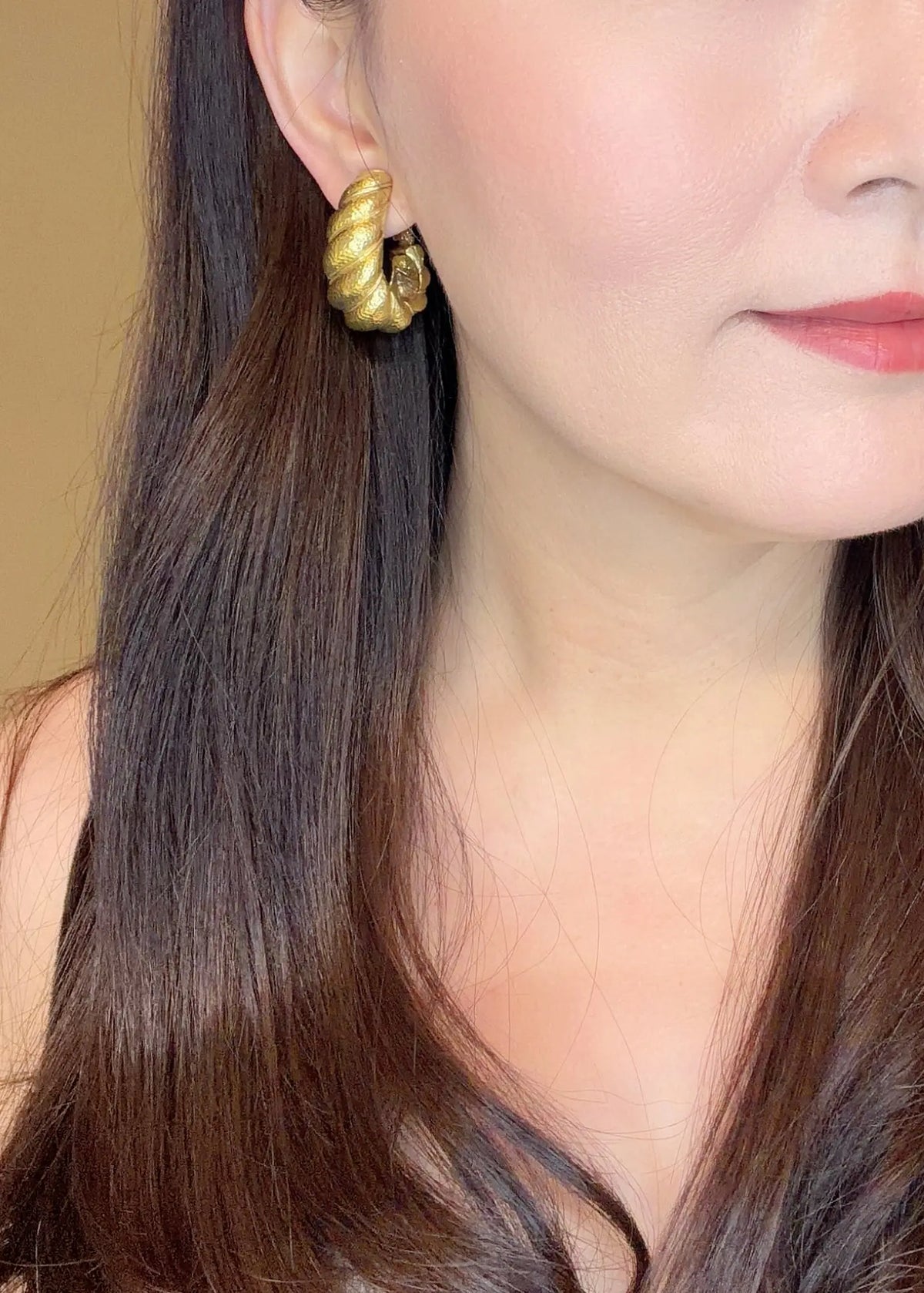 David Webb, Platinum 18K Gold Earrings David Webb