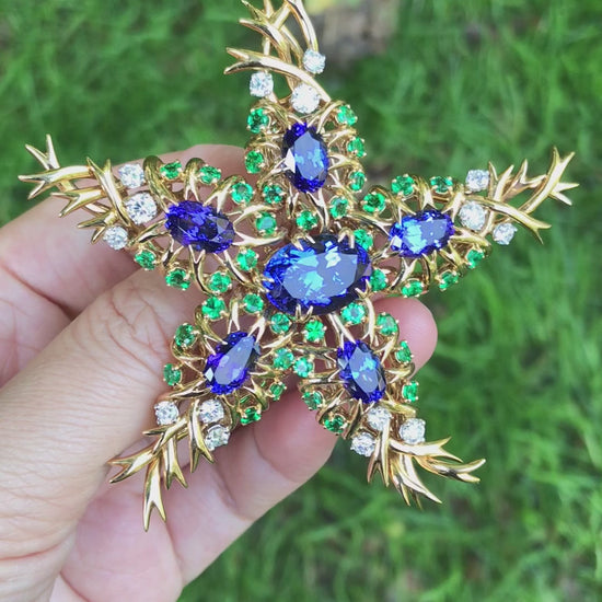Tiffany Schlumberger, 18K Gold Gemstone Seastar Brooch