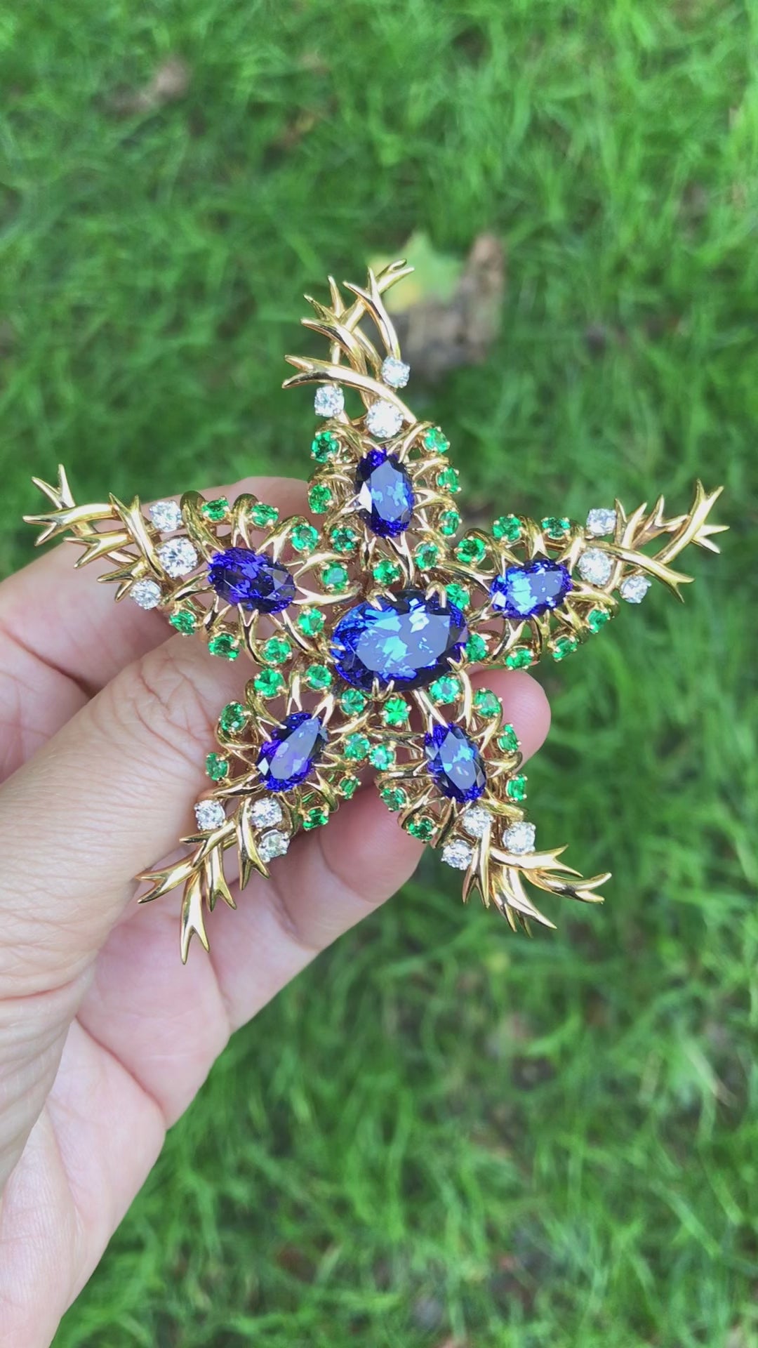 Tiffany Schlumberger, 18K Gold Gemstone Seastar Brooch