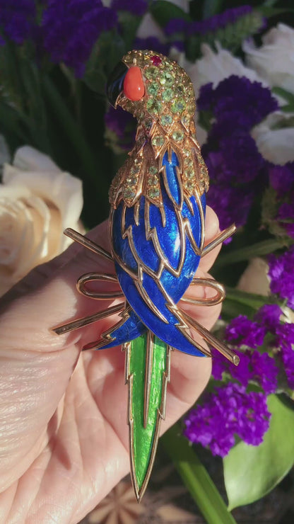Tiffany Schlumberger, 18K Gold Enamel Peridot coral and Ruby Parrot Brooch