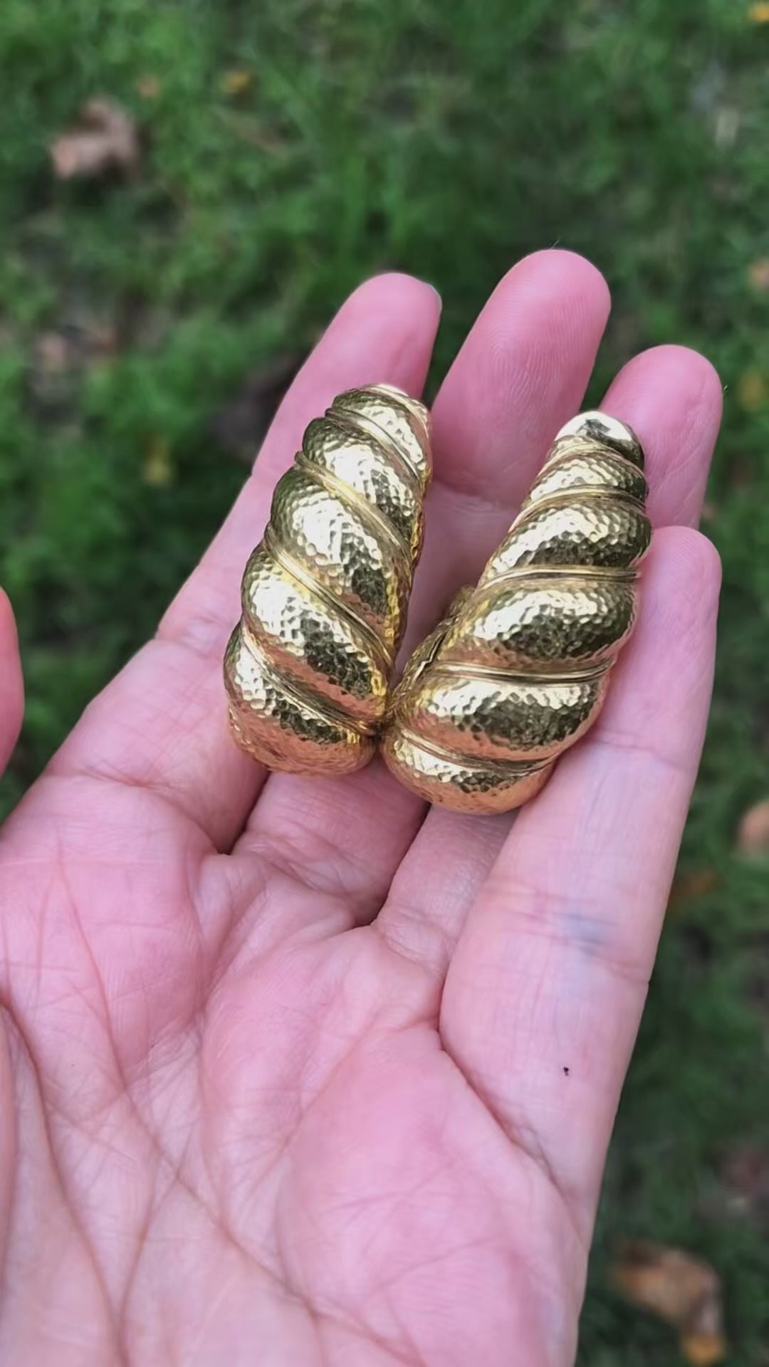 David Webb, Platinum 18K Gold Earrings